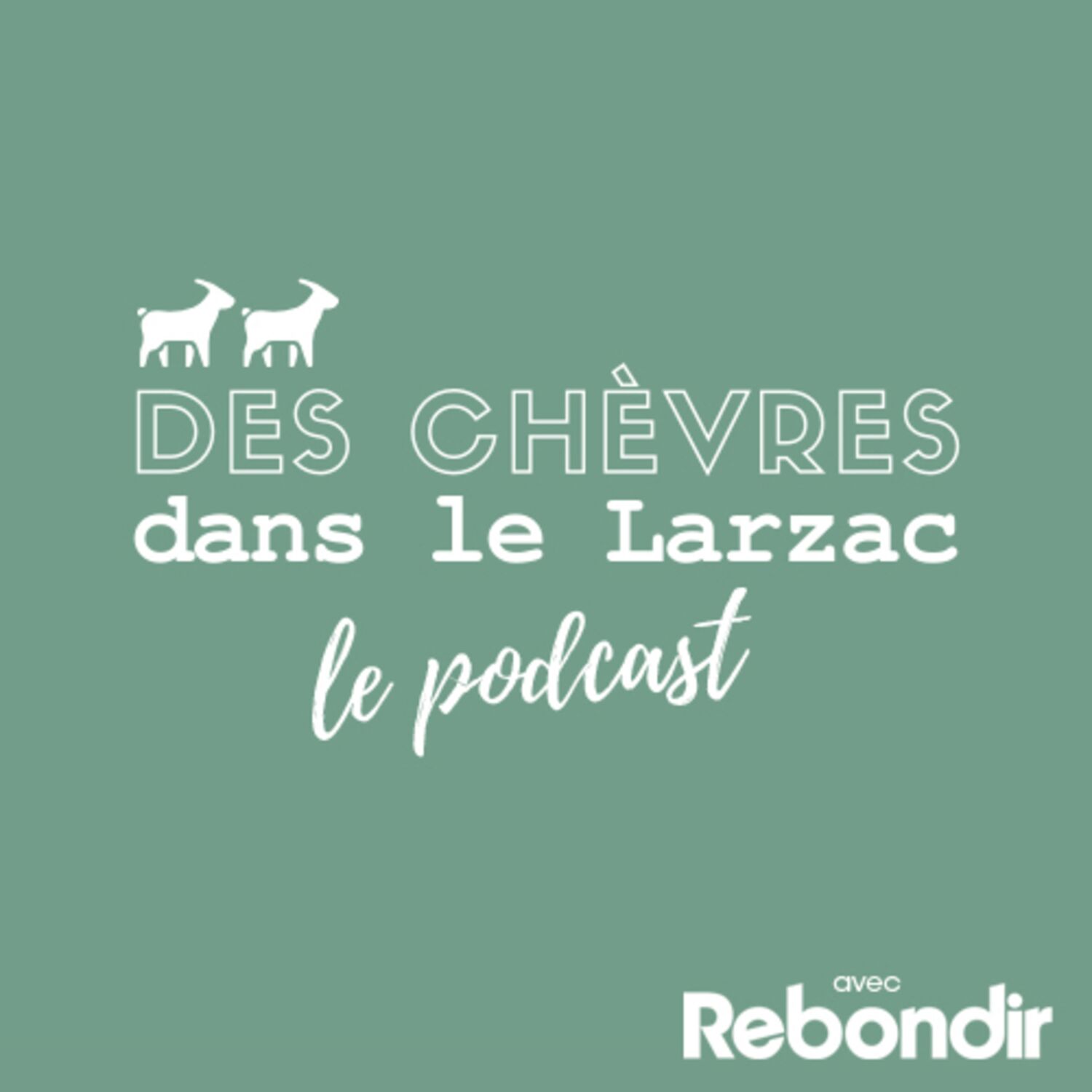 #7. Caroline, co-fondatrice du site Le Kaba